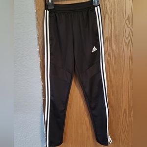 Adidas track jogger pant